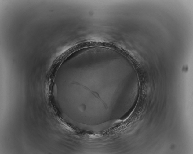 X0000099321303200805091032