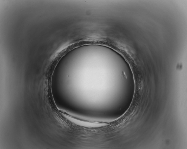 X0000099321304200805091032