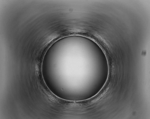 X0000099321305200805091032