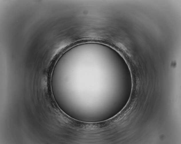 X0000099321307200805091032