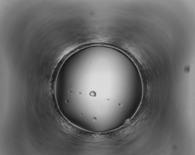 X0000099321308200805091032