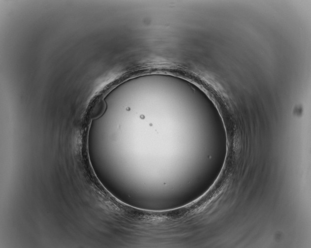 X0000099321309200805091032