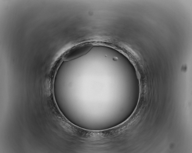 X0000099321310200805091032