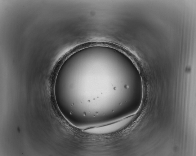 X0000099321311200805091032