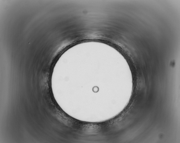 X0000099321314200805091032