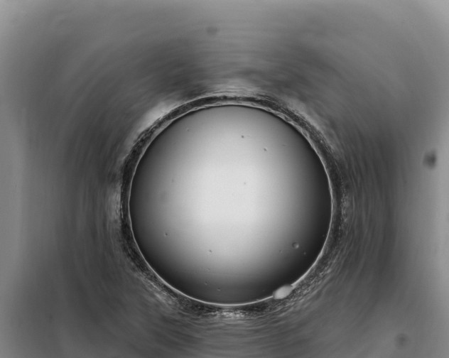 X0000099321315200805091032