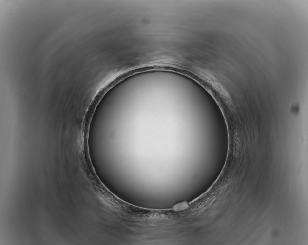 X0000099321316200805091032