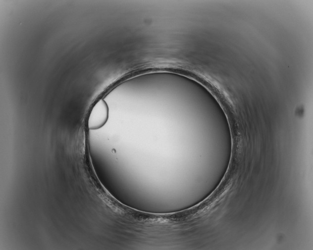 X0000099321317200805091032