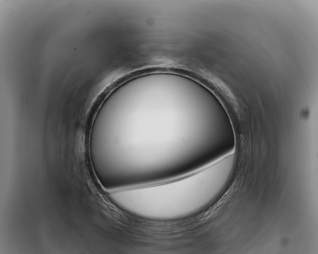 X0000099321318200805091032