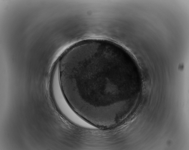 X0000099321319200805091032