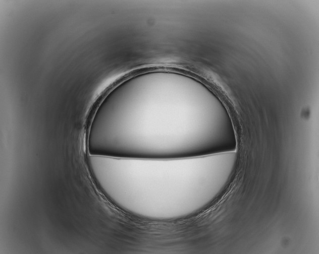 X0000099321320200805091032