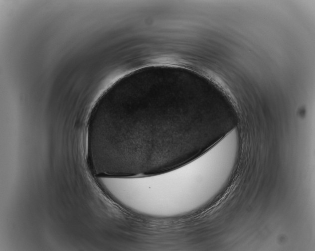 X0000099321323200805091032