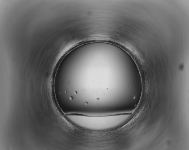 X0000099321325200805091032