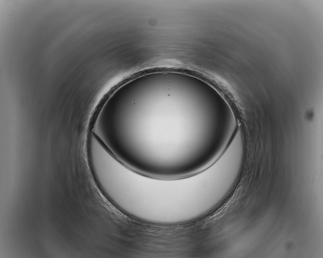 X0000099321326200805091032