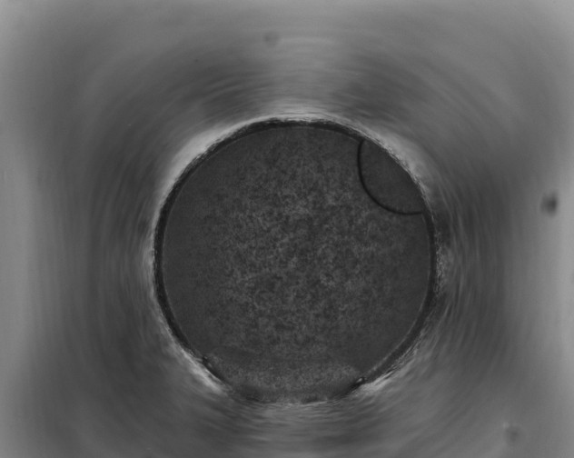 X0000099321327200805091032