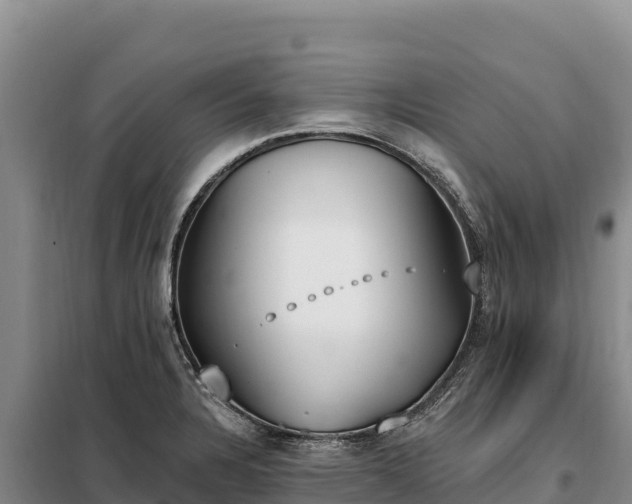 X0000099321328200805091032