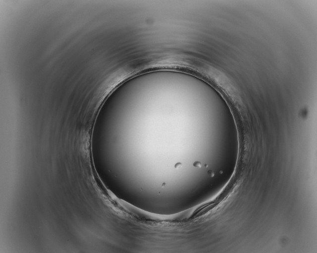 X0000099321329200805091032