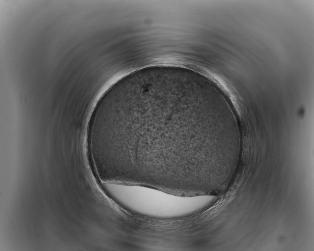 X0000099321331200805091032