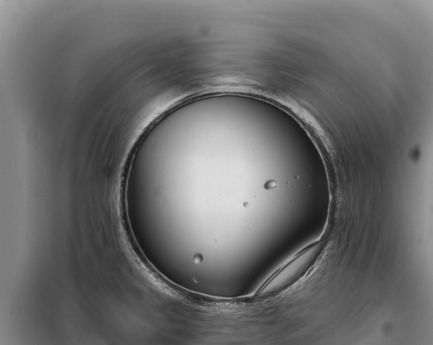 X0000099321333200805091032