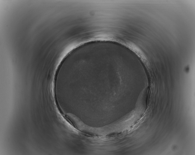 X0000099321334200805091032