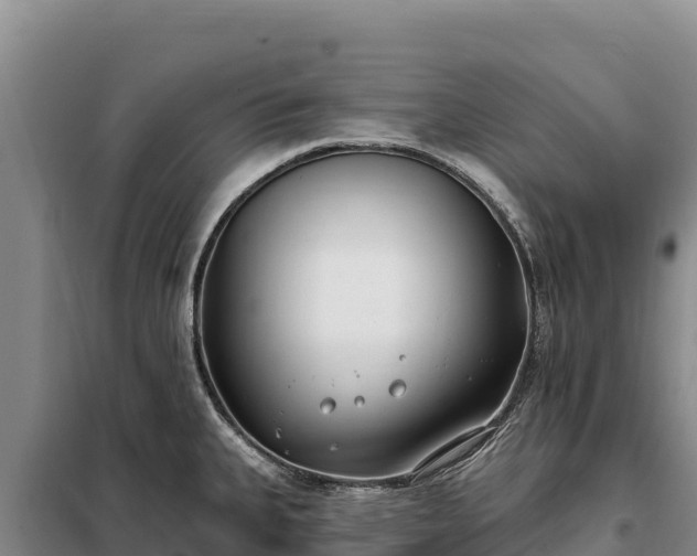 X0000099321335200805091032