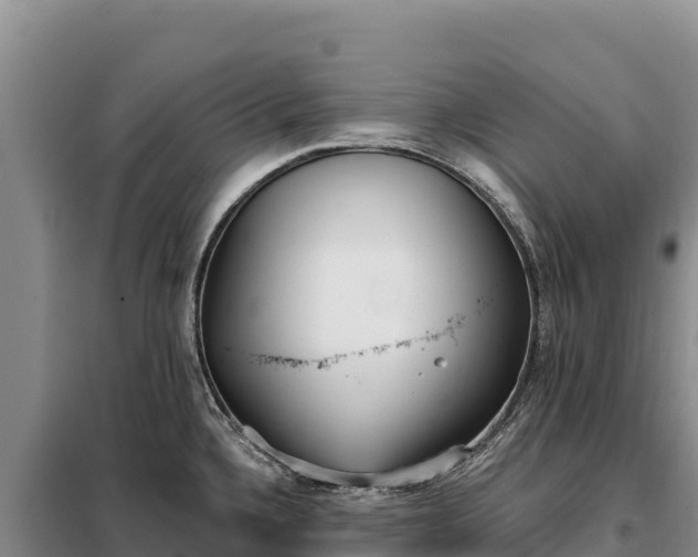 X0000099321336200805091032