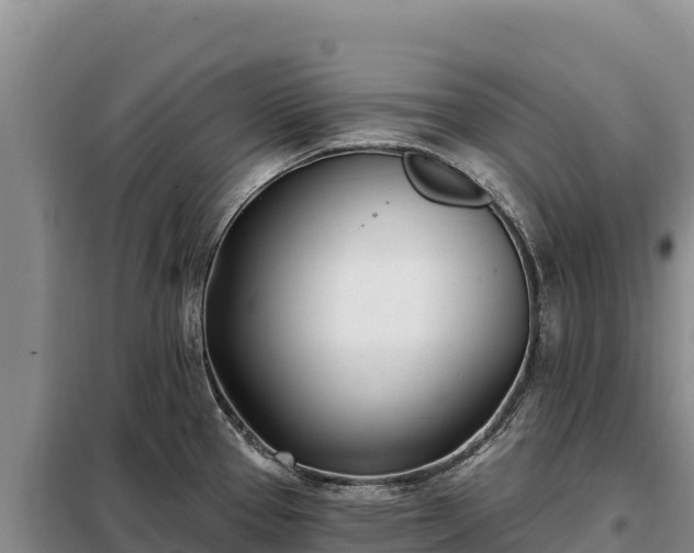 X0000099321337200805091032