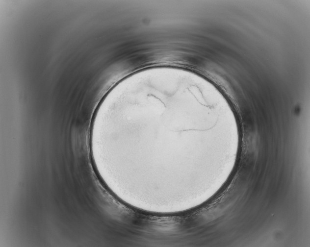 X0000099321338200805091032