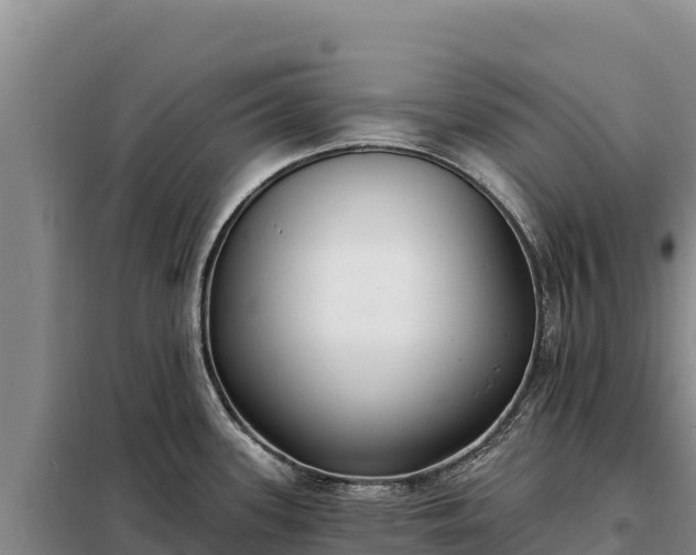 X0000099321339200805091032