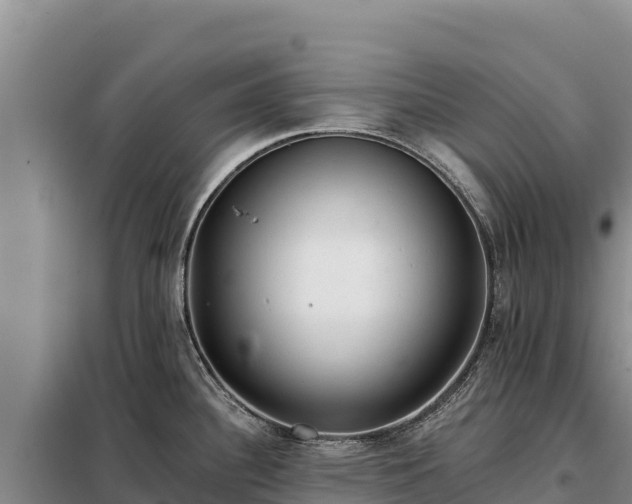 X0000099321340200805091032