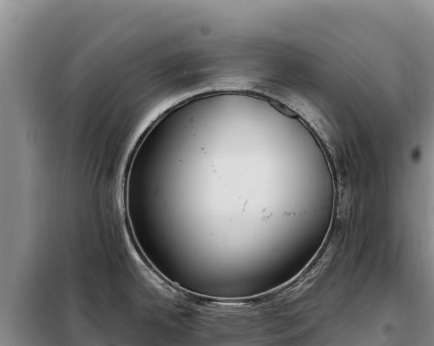 X0000099321342200805091033