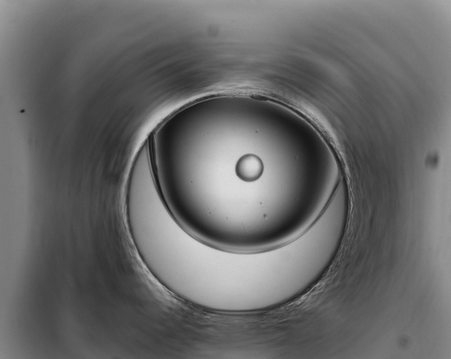 X0000099321344200805091033