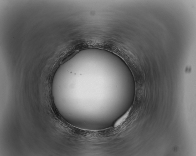 X0000099321345200805091032