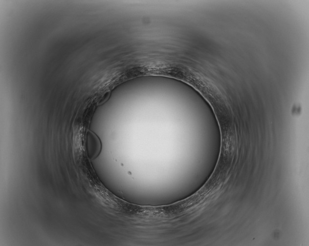 X0000099321346200805091032