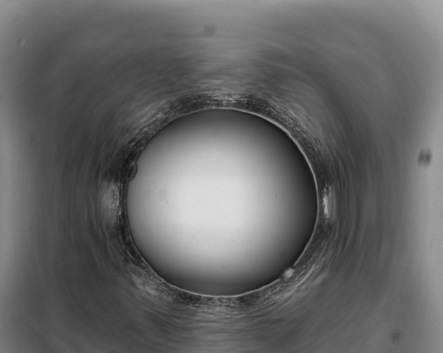 X0000099321347200805091032