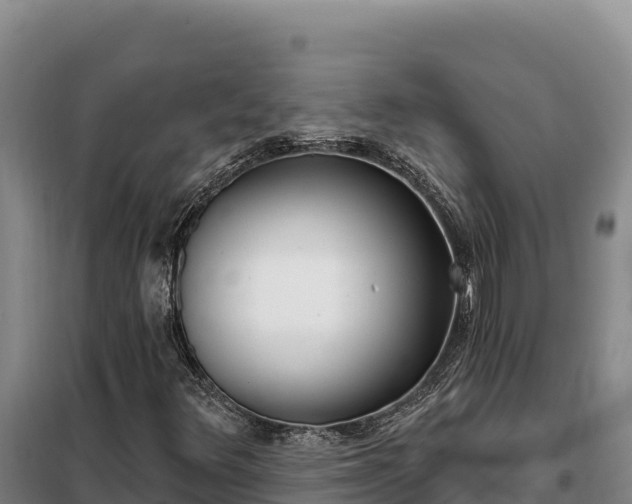 X0000099321348200805091032