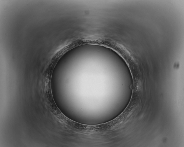 X0000099321350200805091032