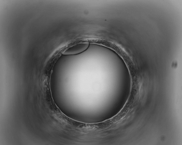 X0000099321351200805091032