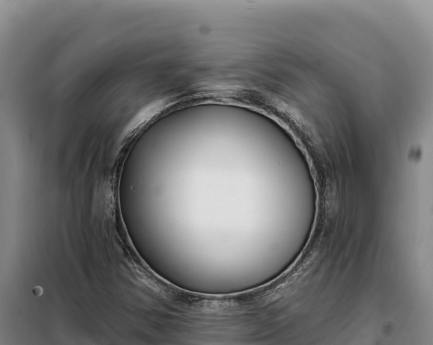 X0000099321354200805091032