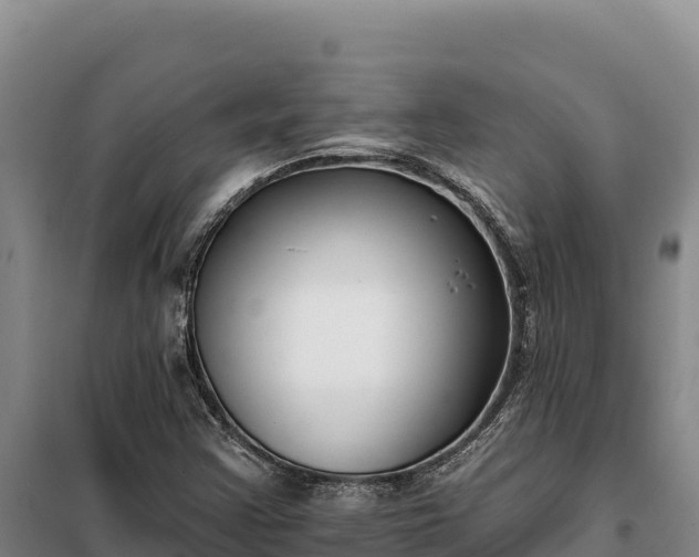 X0000099321355200805091032