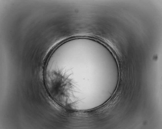 X0000099321356200805091032