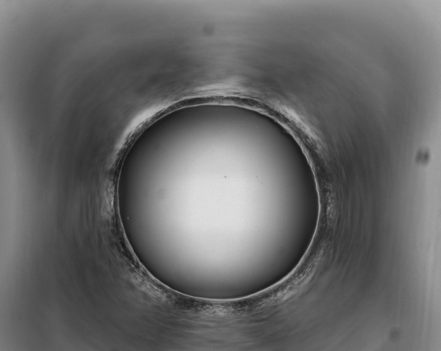 X0000099321358200805091032