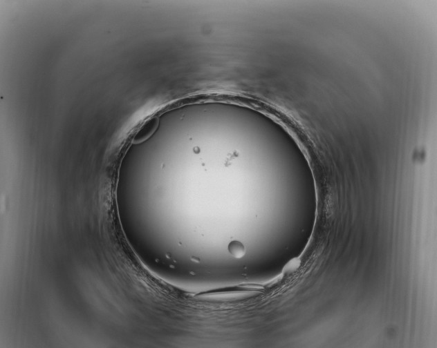 X0000099321359200805091032