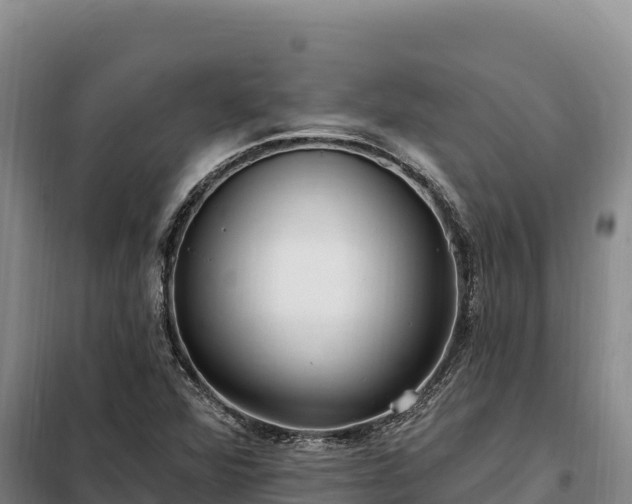 X0000099321360200805091032