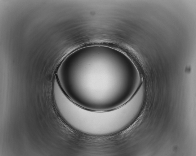 X0000099321361200805091031