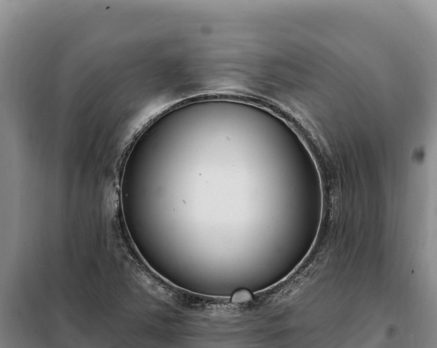 X0000099321363200805091031