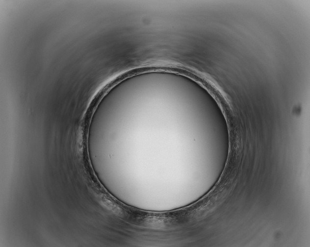 X0000099321364200805091031