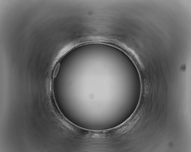 X0000099321365200805091031