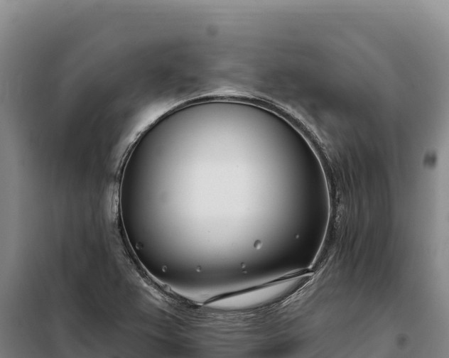 X0000099321367200805091031