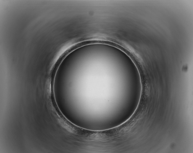 X0000099321368200805091031